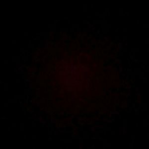 Meet your Posher, Maria c.